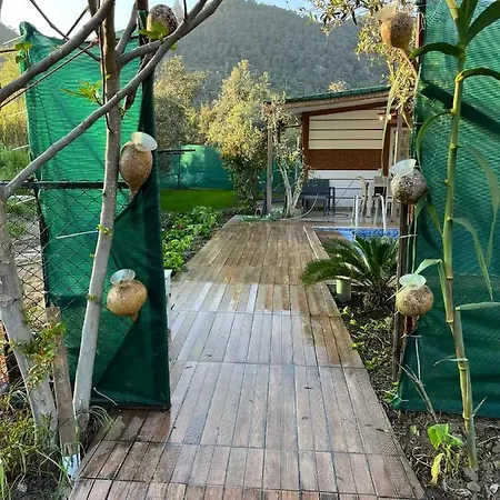 Nature View Private With Pool In Fethiye